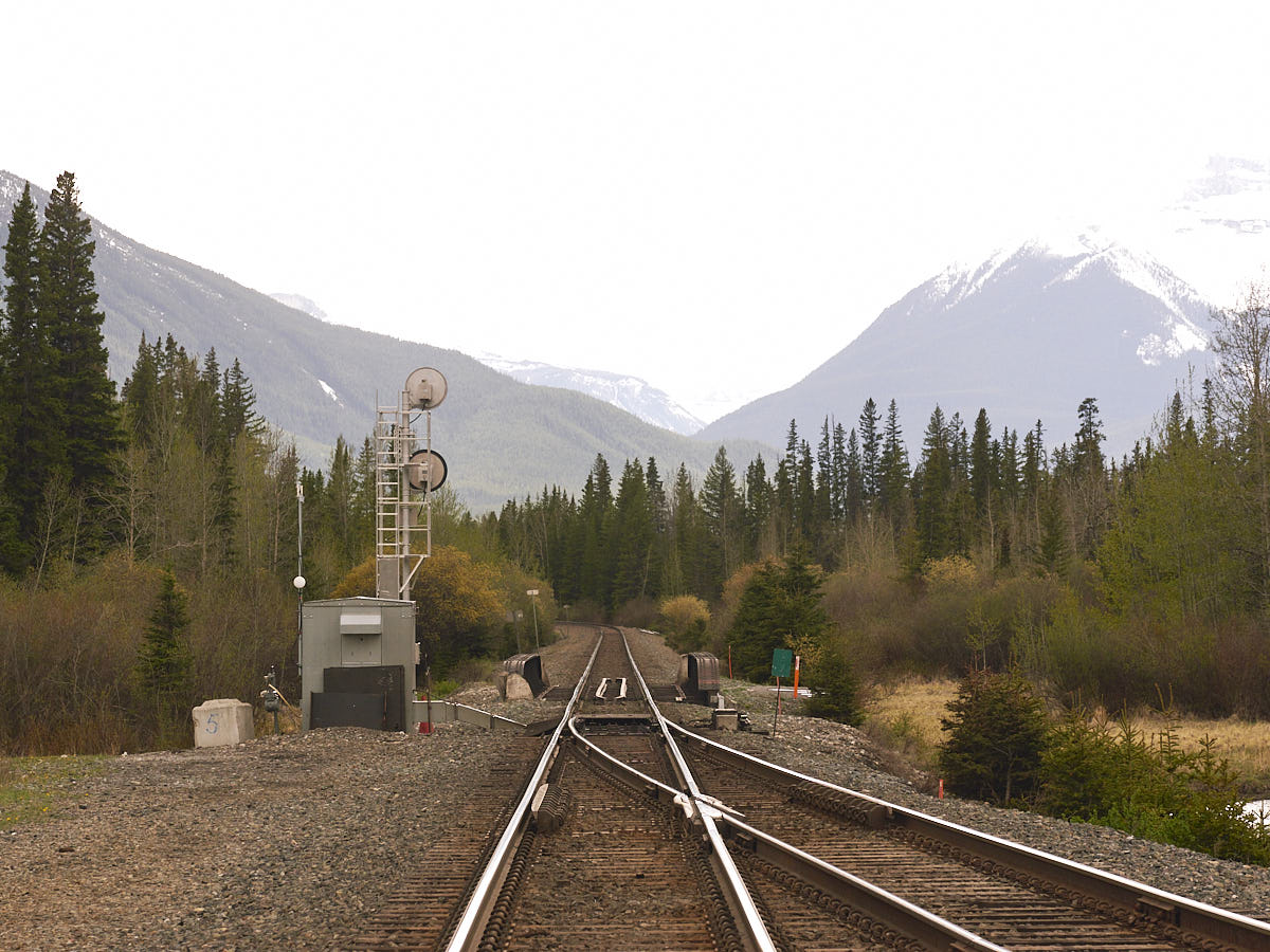 Train tracks disappearing into a forest section, surrounded by distant mountains