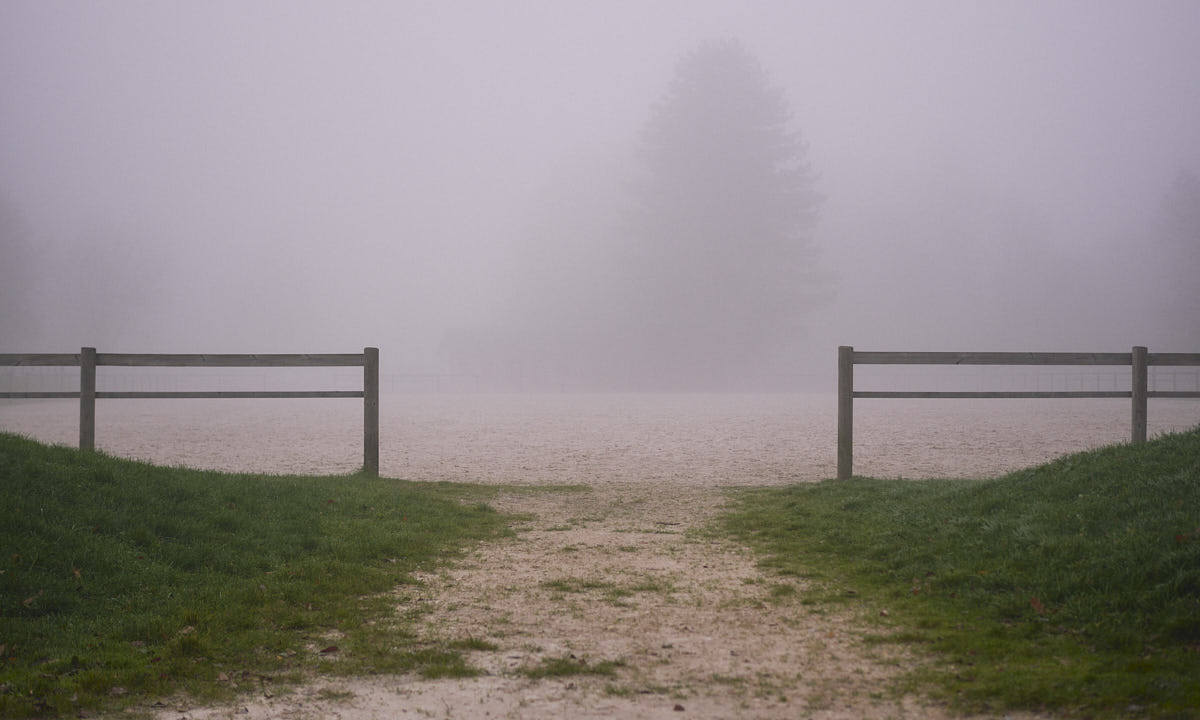 Dirt path leading into a large grassless area, bordered with wooden fences and fading into a deep fog
