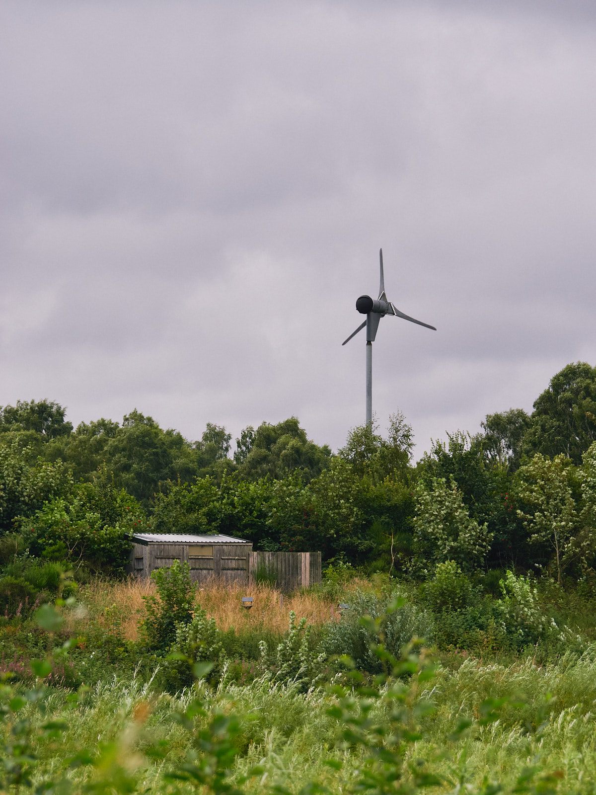 A small wooden shed surrounded by bushes and trees swaying in the wind. A wind turbine stands in the background